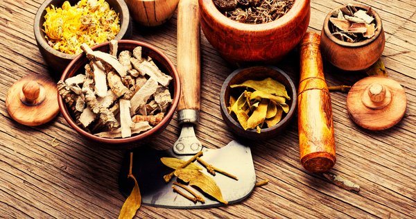 Plante médicinale: conseils de consommation pour de réels bienfaits